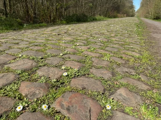 Paris-Roubaix
